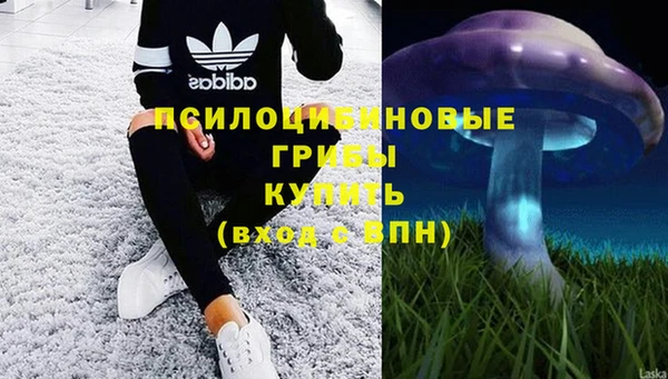 мяу мяу кристалл Горняк
