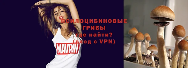 сатива Горнозаводск
