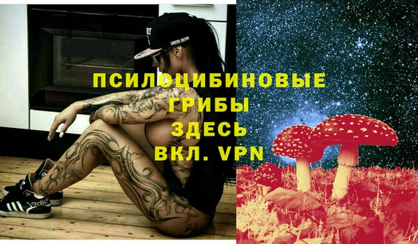 стаф Горно-Алтайск