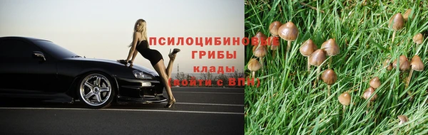 MESCALINE Вязьма