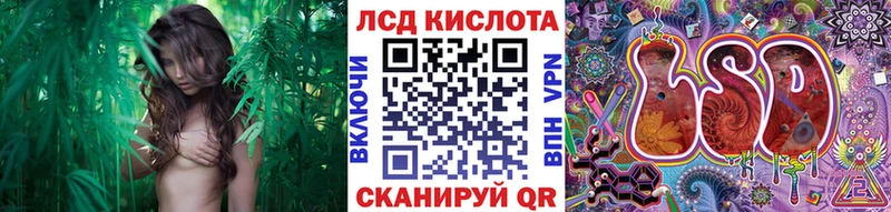 Наркотические марки 1500мкг  Купить где  Кологрив 