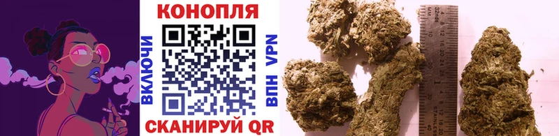 Канабис сатива  Купить закладки  Кологрив 
